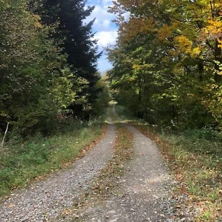 Vila Chabrowo Retreat - Dom 220m2 Nad Jeziorem Klimkowka, Beskid Niski