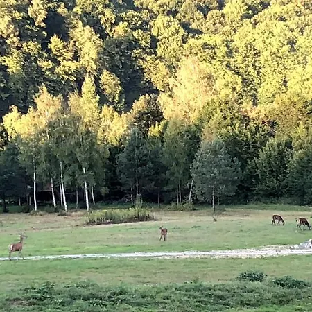 빌라 Chabrowo Retreat - Dom 220m2 Nad Jeziorem Klimkowka, Beskid Niski