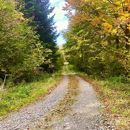 Chabrowo Retreat - Dom 220m2 Nad Jeziorem Klimkowka, Beskid Niski 빌라 *